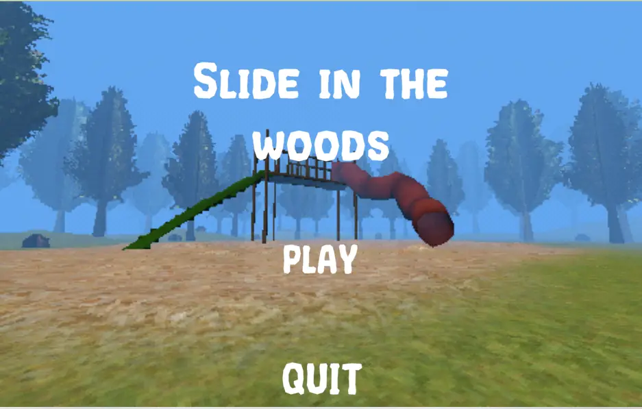 Slide in the Woods