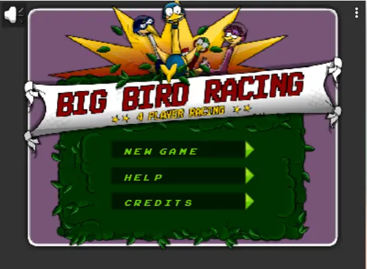 Big Birds Racing
