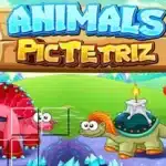 Play Animals Pic Tetriz Game Online
