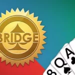 Play Bridge Game Online