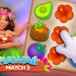 Play Hawaii Match 3 Game Online