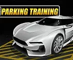 Play Parking Training Game Online