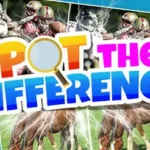 Play Spot The Difference Game Online